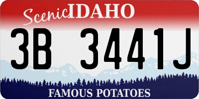 ID license plate 3B3441J