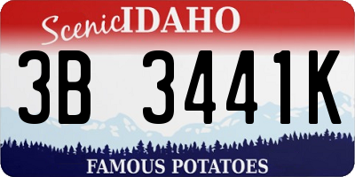ID license plate 3B3441K