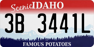 ID license plate 3B3441L