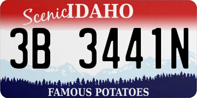 ID license plate 3B3441N