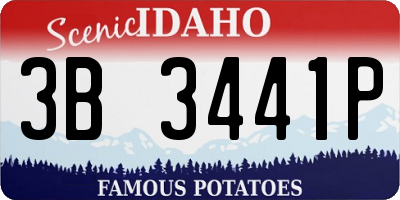 ID license plate 3B3441P