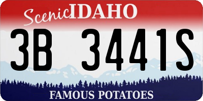 ID license plate 3B3441S