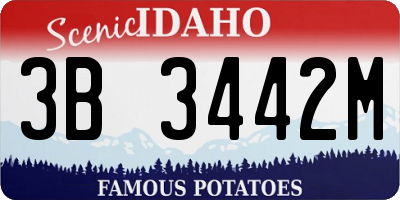 ID license plate 3B3442M