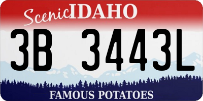 ID license plate 3B3443L