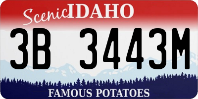 ID license plate 3B3443M
