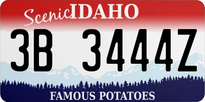 ID license plate 3B3444Z