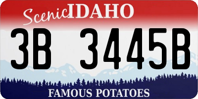 ID license plate 3B3445B
