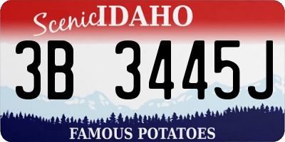 ID license plate 3B3445J