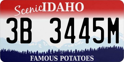 ID license plate 3B3445M