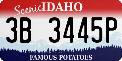 ID license plate 3B3445P