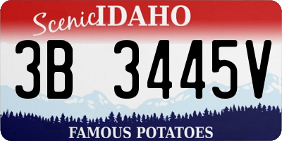 ID license plate 3B3445V