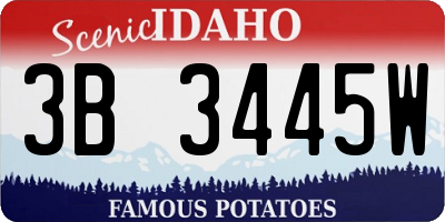 ID license plate 3B3445W