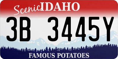 ID license plate 3B3445Y