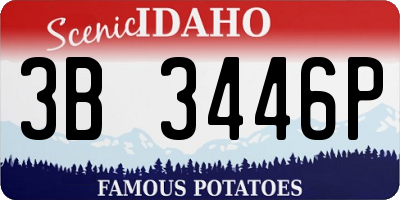 ID license plate 3B3446P