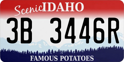 ID license plate 3B3446R