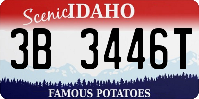 ID license plate 3B3446T