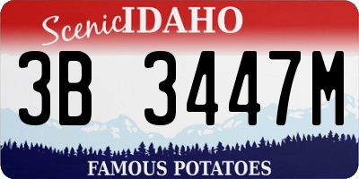 ID license plate 3B3447M