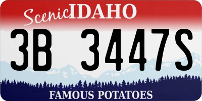 ID license plate 3B3447S