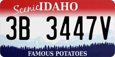 ID license plate 3B3447V