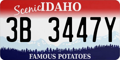 ID license plate 3B3447Y