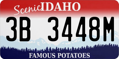 ID license plate 3B3448M