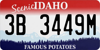 ID license plate 3B3449M