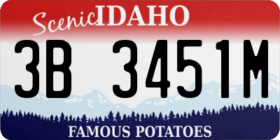 ID license plate 3B3451M