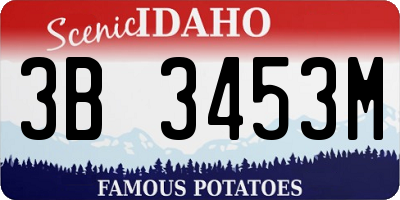 ID license plate 3B3453M
