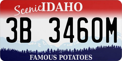 ID license plate 3B3460M