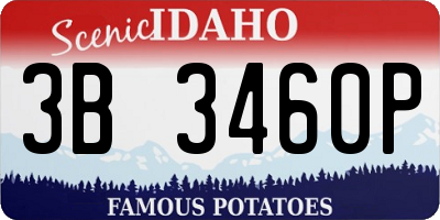 ID license plate 3B3460P