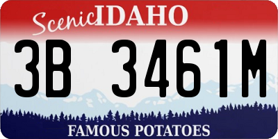ID license plate 3B3461M