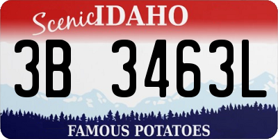 ID license plate 3B3463L
