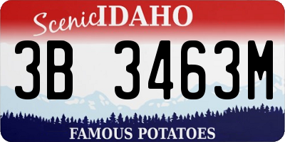ID license plate 3B3463M