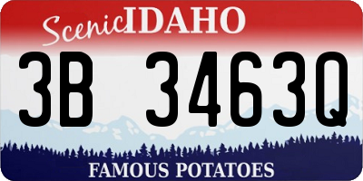 ID license plate 3B3463Q