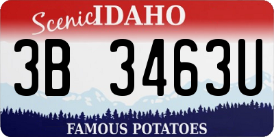 ID license plate 3B3463U