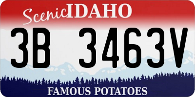 ID license plate 3B3463V