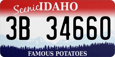 ID license plate 3B3466O