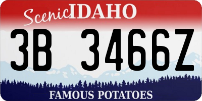 ID license plate 3B3466Z