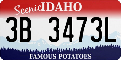 ID license plate 3B3473L