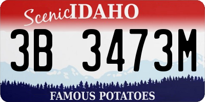 ID license plate 3B3473M