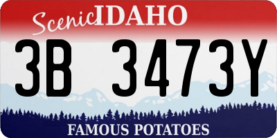 ID license plate 3B3473Y