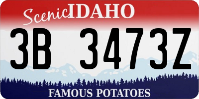 ID license plate 3B3473Z