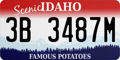 ID license plate 3B3487M