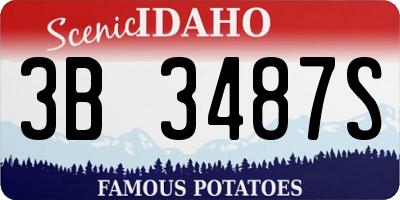 ID license plate 3B3487S