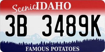 ID license plate 3B3489K