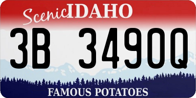 ID license plate 3B3490Q