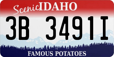 ID license plate 3B3491I