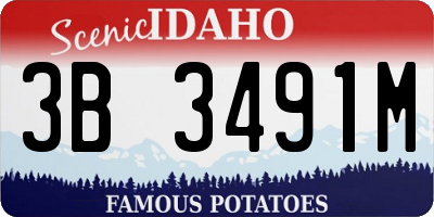 ID license plate 3B3491M