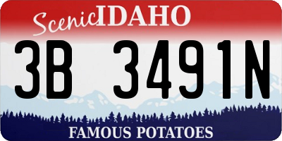 ID license plate 3B3491N