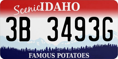 ID license plate 3B3493G